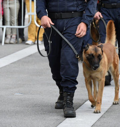 Sicherheitsdienst Baden-Baden - LSK-Sicherheit